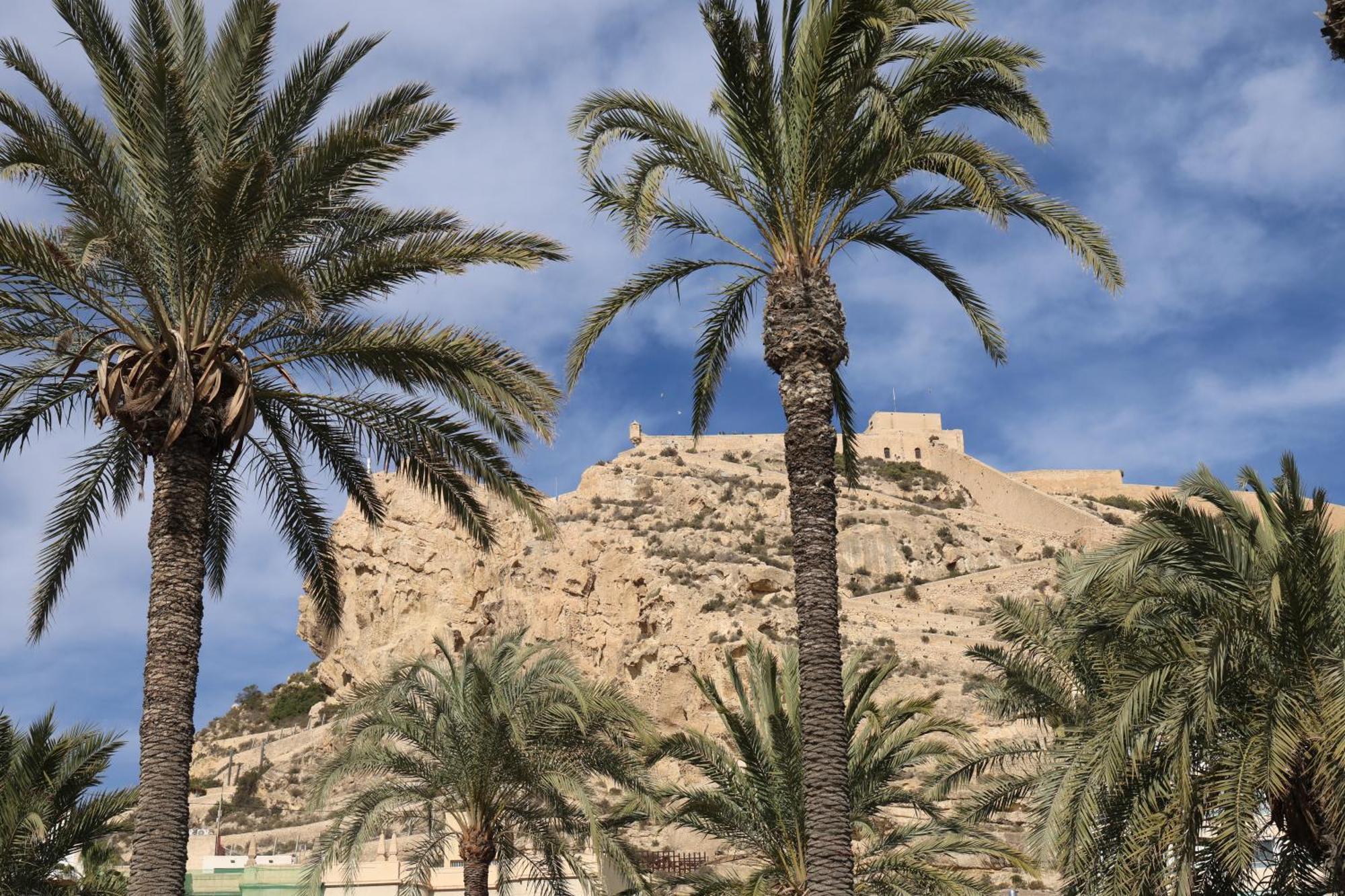 Alicantan Vital Experience Alicante Extérieur photo