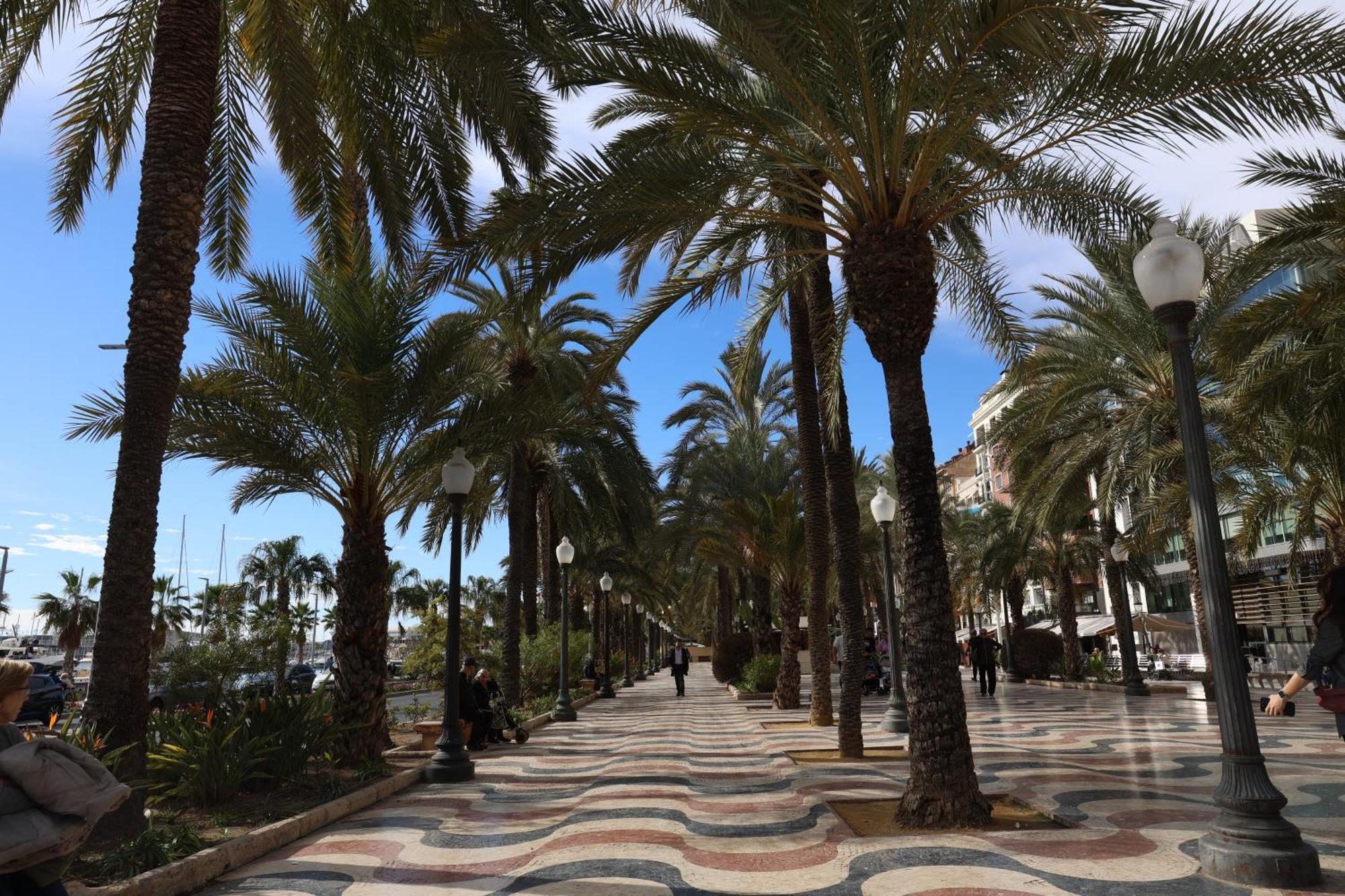 Alicantan Vital Experience Alicante Extérieur photo