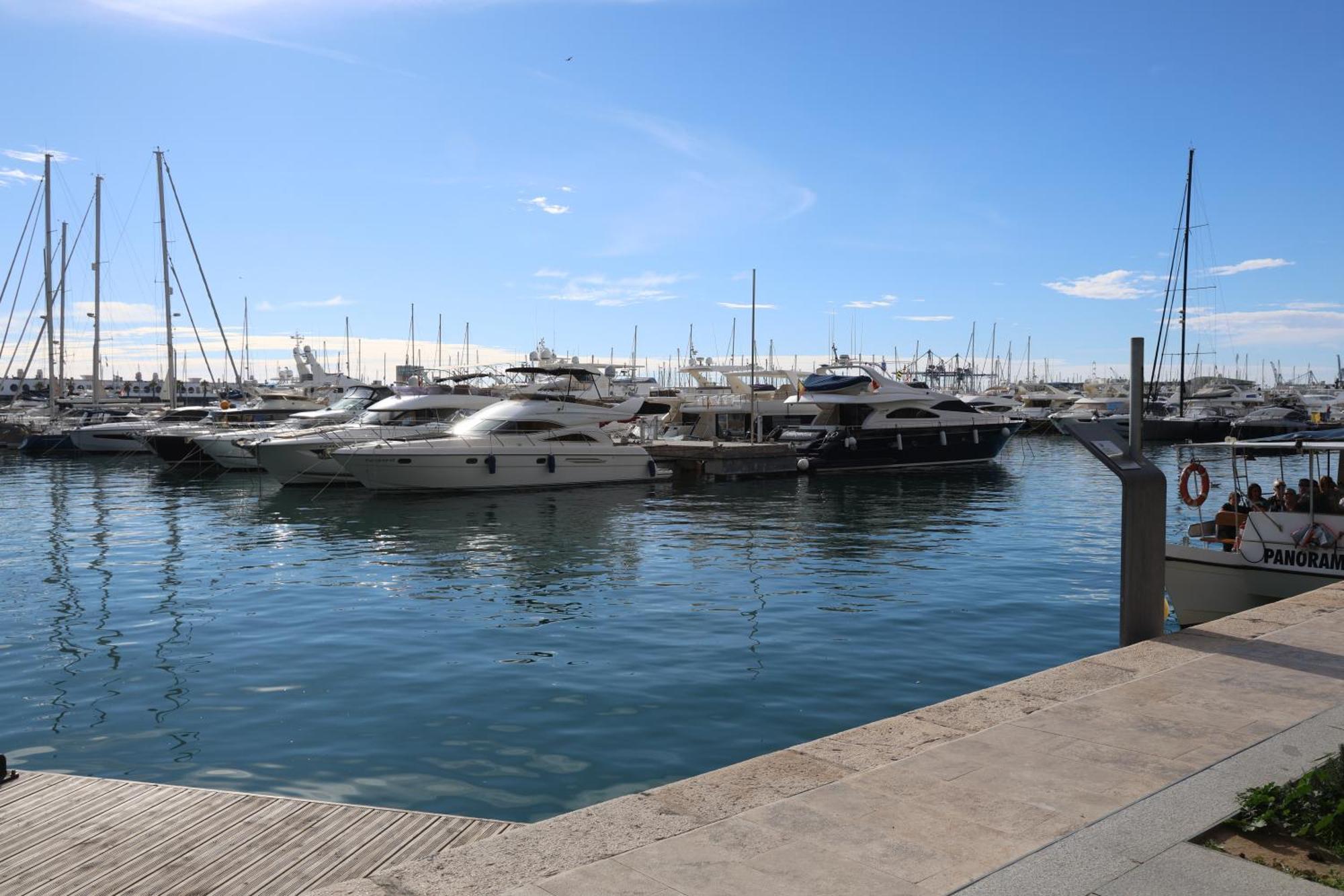 Alicantan Vital Experience Alicante Extérieur photo