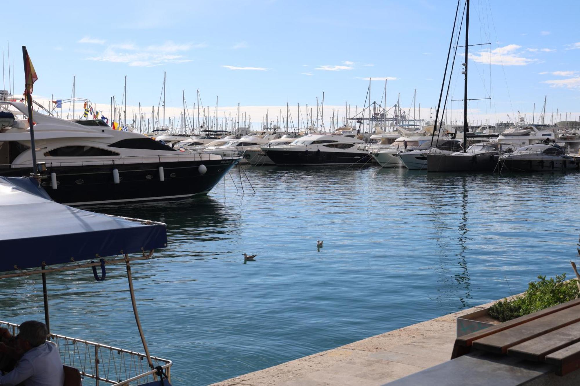 Alicantan Vital Experience Alicante Extérieur photo